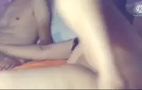 سكس حيونات بتنيك بنات في المزارع