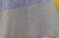 ميا مالكوفا تلعب مع دسار في الحمام.